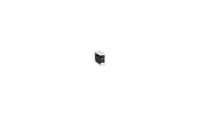 EPSON EPSON Singlepack Light Gray T46S9 UltraC
