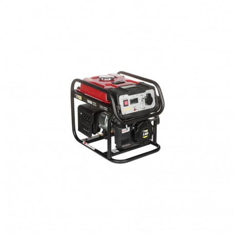 Generator DY-1020/PRO 800W Dynamo