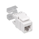 Goobay 19 inch (48.3 cm) Keystone Patch Panel Pack (1 U)