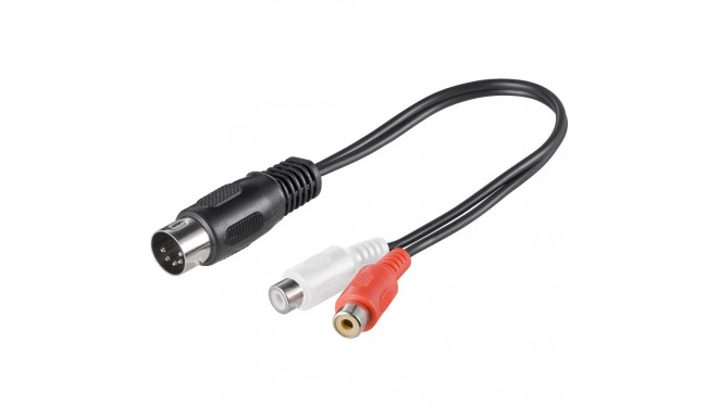 Goobay Audio Cable Adapter (DIN) 0.2 m