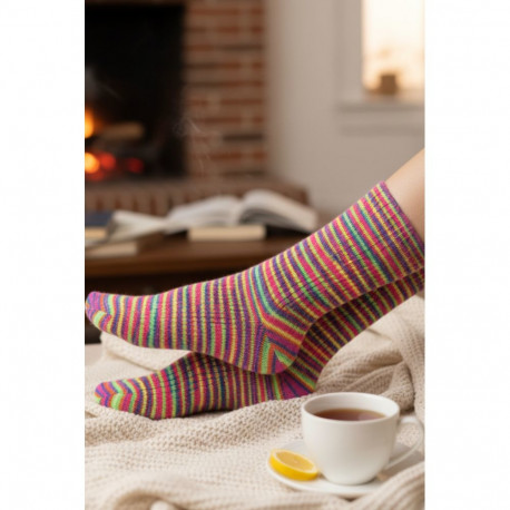 SOKISAHTEL Pierre Mantoux VENERE kirjud triibulised sokid 444