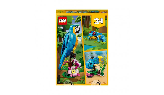 EXOTIC PARROT 31136