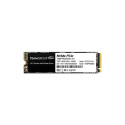 Team Group MP33 256GB, SSD (PCIe 3.0 x4, NVMe 1.3, M.2 2280)