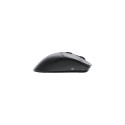 Glorious Gaming Glorious Model D 2 PRO Wireless - 1K Polling - Black