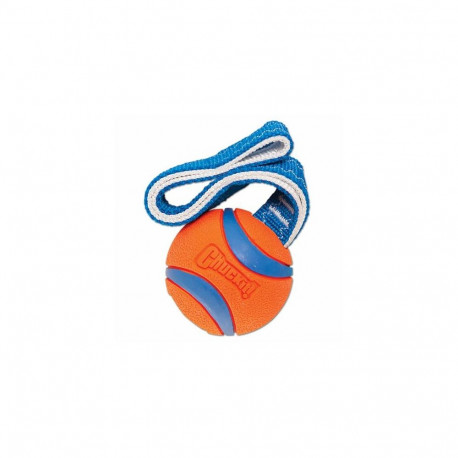 Chuckit! 231301 dog/cat toy