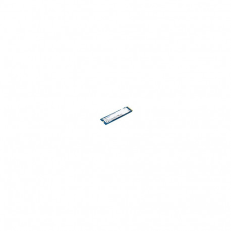 Kingston SSD SNV3S/1000G 1000GB M.2 2280 PCIe 4.0 x4 NVMe