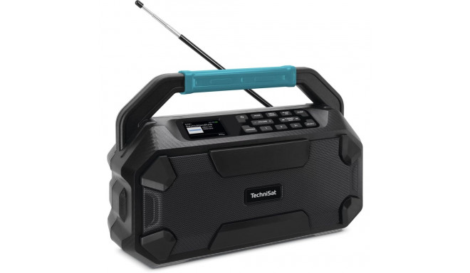 Technisat Viola 231 OD schwarz