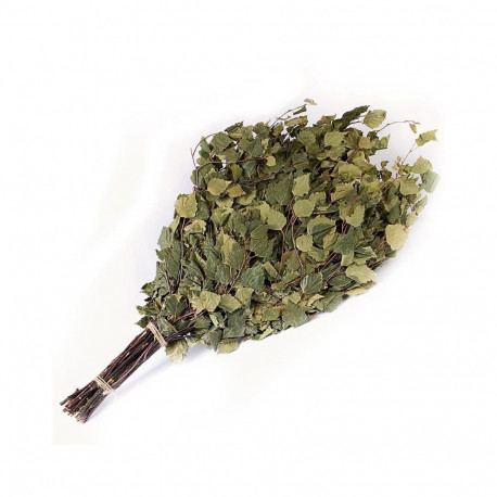 BIRCH-TREE BUNDLE FLAMMIFERA