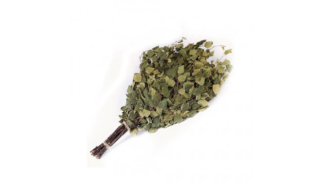 BIRCH-TREE BUNDLE flammifera