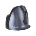 Evoluent VerticalMouse D, mouse (black / silver, large, RH)