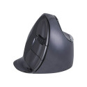 Evoluent VerticalMouse D, mouse (black / silver, large, RH)