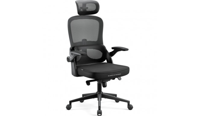 Diablo Chairs V-Light Black Office Chair