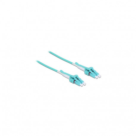 DeLOCK 1m, 2xLC InfiniBand/fibre optic cable LC Turquoise