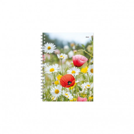 Raamatkalender Kantsler Spiral Disain Päev Summer Vibe, spiraalköide, kaaned lamineeritud,trükitud k