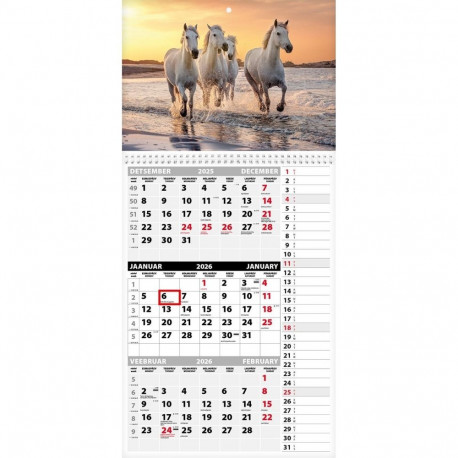 Seinakalender Trio Memo pilt 12 2026a.