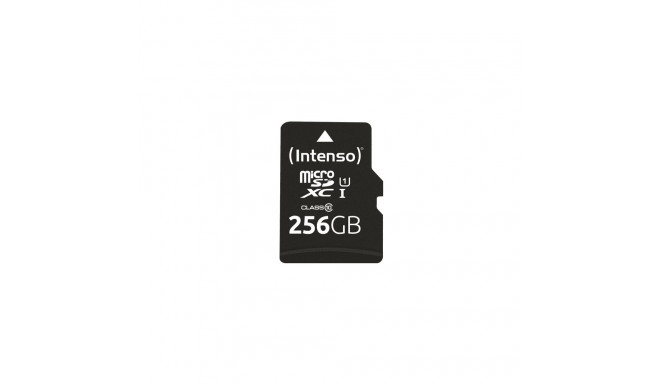 Intenso microSD-kaart Class10 UHS-I 256GB mälukaart