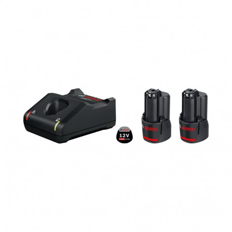 Bosch 1 600 A01 9RD cordless tool battery / charger Battery & charger set