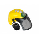 Lumberjack helmet with visor