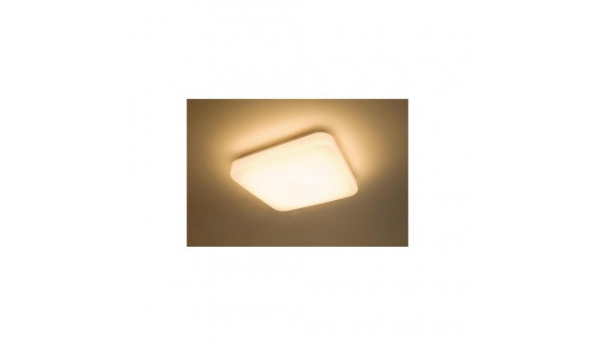 laevalgusti mauve 3111031P0 17W LED