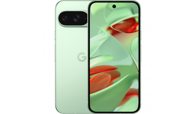 Google Pixel 9 5G 12/128GB kahe SIM-kaardiga talvine roheline