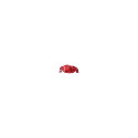 Pulse 5 cherry-masala universaalne