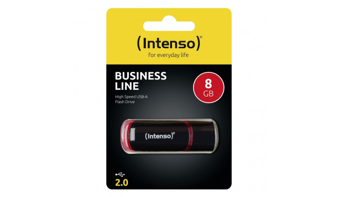 Intenso mälupulk 8GB USB 2.0 (3511460)