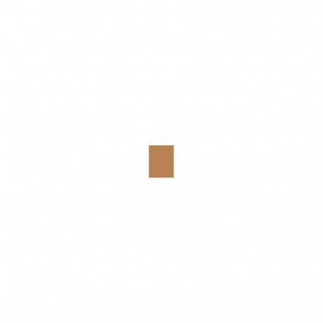 Erborian Super BB Concealer (10ml) (Caramel)