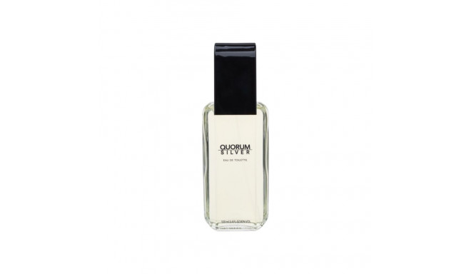 Antonio Puig Quorum Silver Eau de Toilette (100ml)