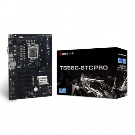 BIOSTAR TB560-BTC PRO motherboard