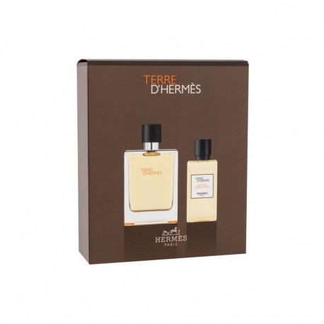 Hermes Terre d'Hermes Eau de Toilette (100ml) (Edt 100 ml + Shower Gel 80 ml)