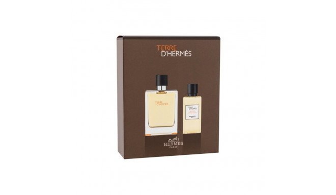 Hermes Terre d'Hermes Eau de Toilette (100ml) (Edt 100 ml + Shower Gel 80 ml)