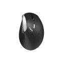 EV250.BLK Wireless Ergonomic Mouse