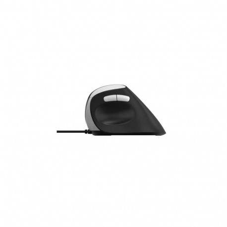 Rapoo EV200 mouse Office Right-hand USB Type-A Optical 1600 DPI