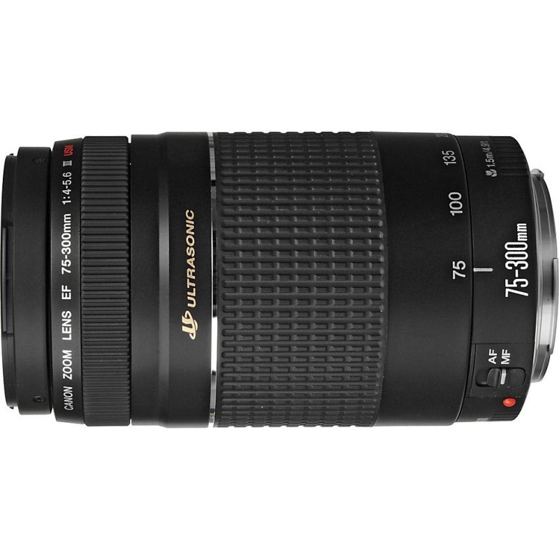Canon Ef 75 300mm F 4 5 6 Iii Usm Lenses Photopoint