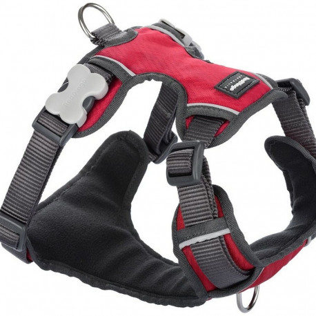 Dog Harness Red Dingo Padded Red XS size