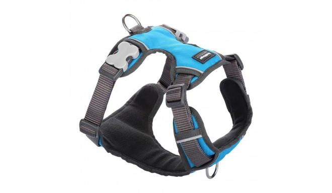 Dog Harness Red Dingo Padded Turquoise L