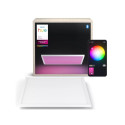 Philips Hue Surimu Square paneelvalgusti, 60 x 60 cm | 2000-6500 Hue valge värvi meeleolu
