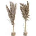 DKD Home Decor kunstlill 35x25x55cm