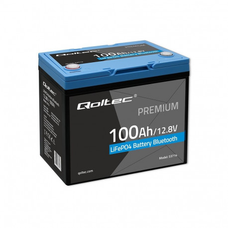 LiFePO4 battery 12.8V 100Ah 1280Wh BMS