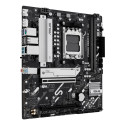 Mainboard|ASUS|AMD B850|SAM5|Micro-ATX|Memory DDR5|Memory slots 2|1xPCI-Express 4.0 16x|1xPCI-Expres