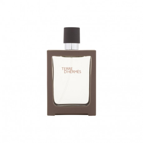 Hermes Terre d'Hermes Eau de Toilette (30ml)