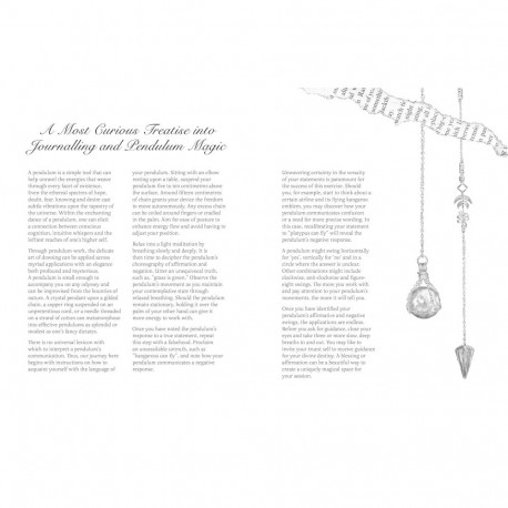 Notebook - Zoologica Pendulum Journal 220 Pages 44 Illustrations Blue Angel