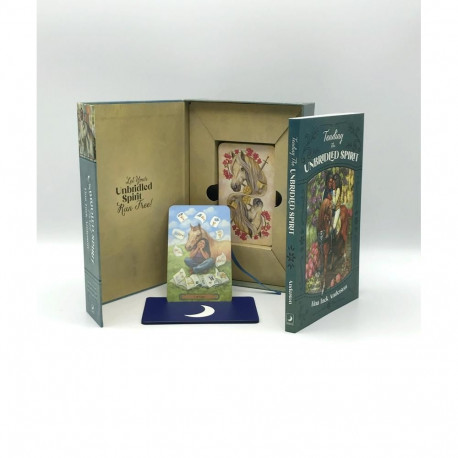 Tarot Card Deck - Llewellyn Unbridled Spirit Taro 78 Cards & Guide