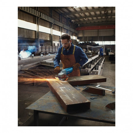 Bosch Angle grinder GWS 22-230 P Professional (blue, 2,200 watts)