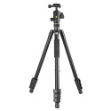Vanguard Vesta GO 264AB