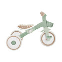Rowerek Globber Learning Trike 2w1 Plus pistacjowy 737-109