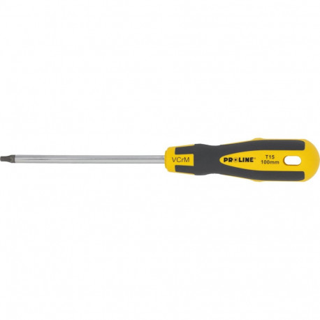 torx-otsikuga kruvikeeraja avaga t15*100mm pehme kattega proline