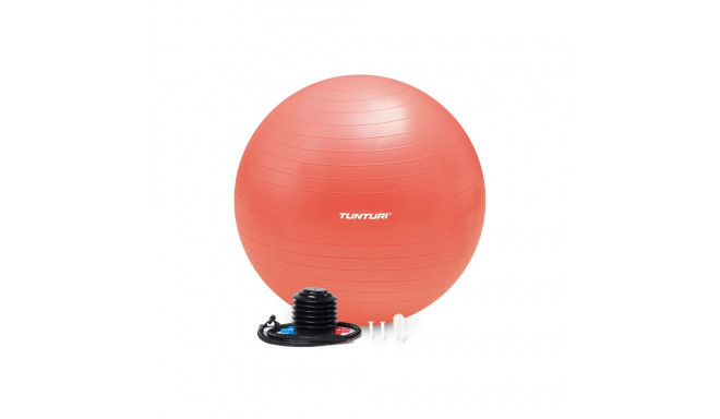 Võimlemispall TUNTURI Gym Ball 65cm, Anti-Burst, Rose Gold