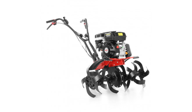 MULLAFREES HECHT 785