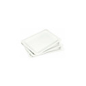 10 valget papptaldrikut 20x13cm